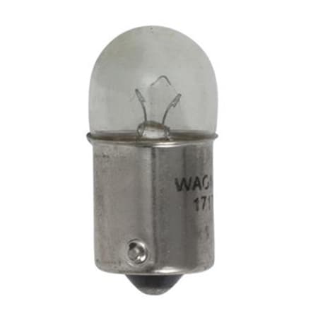 Wagner 17171 Tail Light Bulb- Clear W31-17171